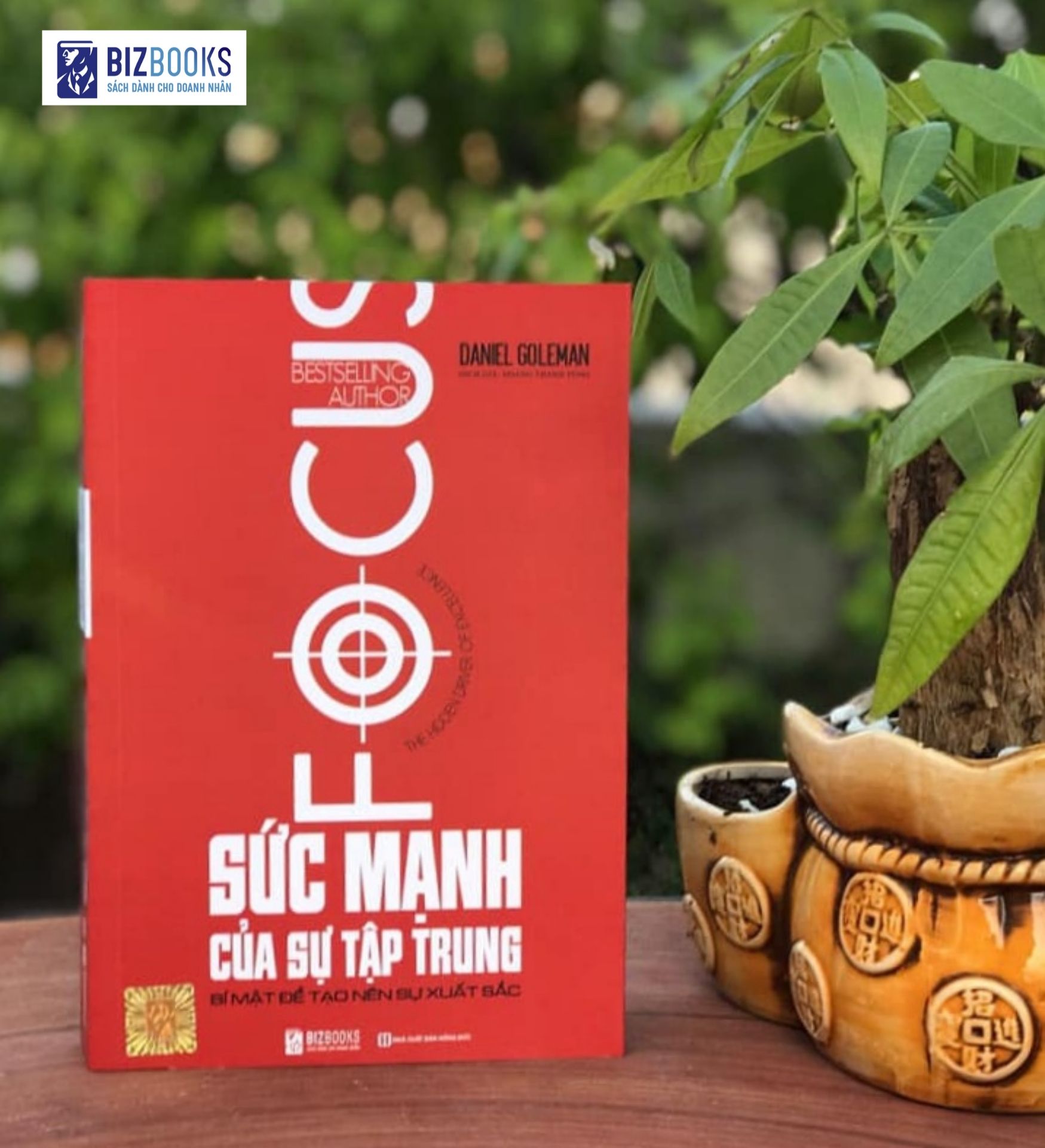 Sức Mạnh Của Sự Tập Trung: Bí mật để tạo nên sự xuất sắc