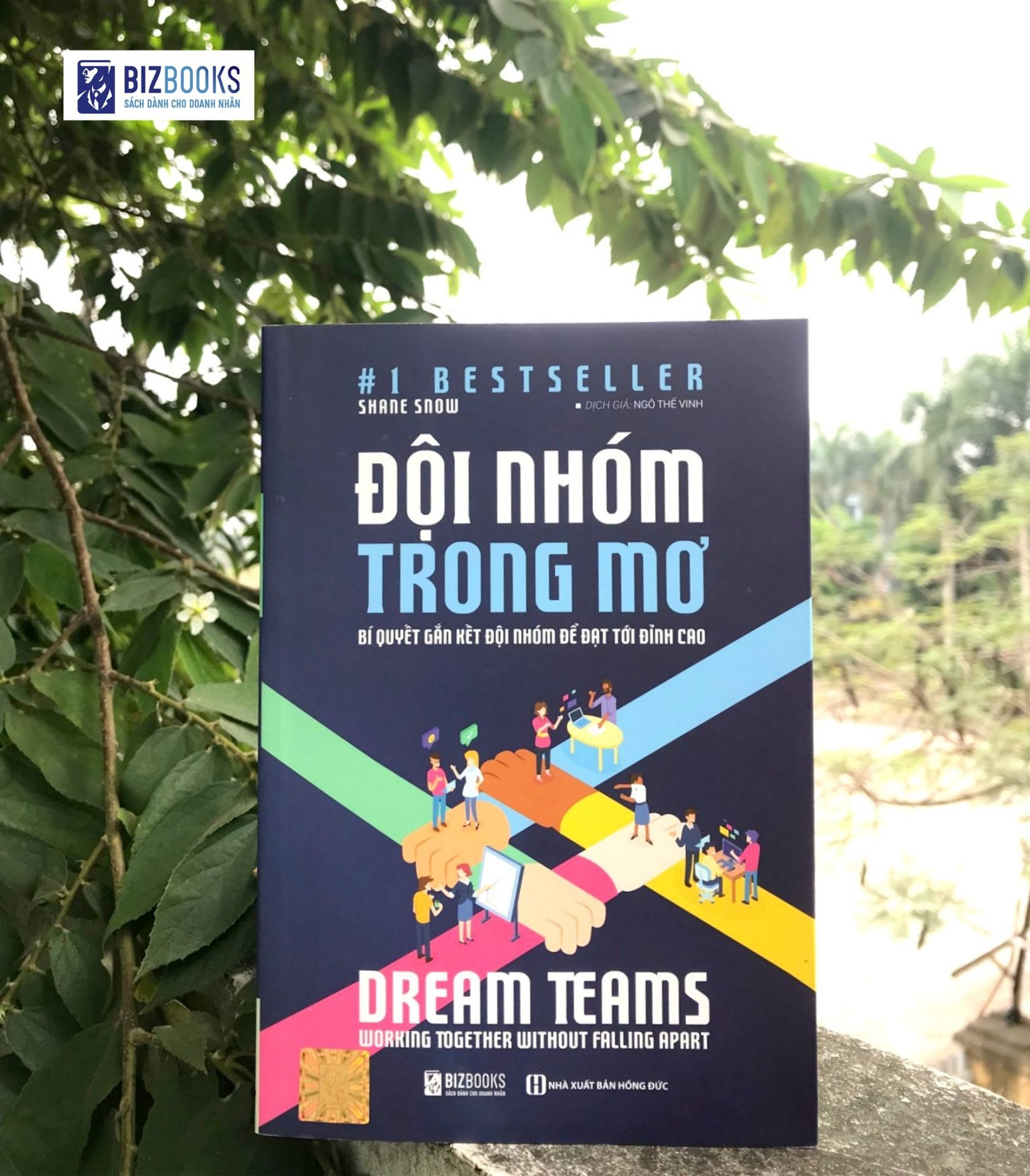 Dream Teams – Đội nhóm trong mơ